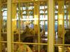 DSC05456.jpg