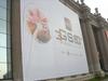 DSC05481.jpg