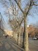 DSC05501.jpg