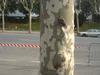 DSC05502.jpg