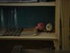 DSC05532.jpg