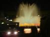 DSC05578.jpg