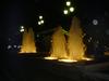 DSC05602.jpg