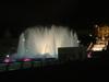 DSC05606.jpg