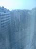 DSC05690.jpg