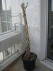 DSC05705.jpg