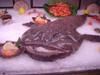 DSC05798.jpg