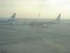 DSC05820.jpg