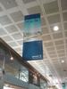 DSC05825.jpg