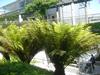 DSC00020.JPG