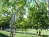 DSC00039.JPG
