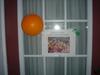 DSC06146.jpg