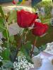 DSC03505.jpg