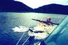 ron-waterskiing.jpg