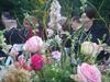 DSC03752.jpg