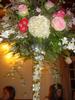 DSC03776.jpg