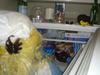 DSC04311.jpg