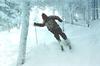 glades1.jpg
