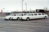 parked-limos.jpg