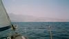 view-of-hotel-from-boat.jpg