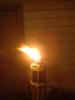 DSC03217.jpg