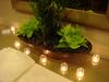 DSC09867.JPG