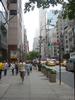 DSC03594.jpg