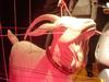 DSC03695.jpg