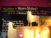 DSC03702.jpg