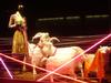DSC03703.jpg