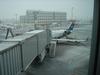 DSC04491.jpg