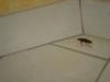 DSC04499.jpg