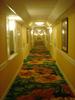 DSC04500.jpg