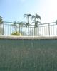 DSC04565.jpg