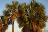DSC04602.jpg