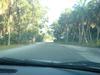 DSC04699.jpg