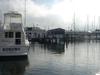DSC04873.jpg