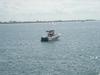 DSC04911.jpg