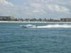 DSC04915.jpg