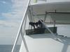 DSC04922.jpg