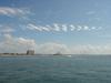 DSC04935.jpg