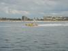 DSC04971.jpg
