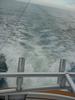 DSC05009.jpg