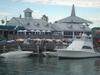 DSC05016.jpg