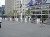 DSC07342.jpg