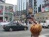 DSC07348.jpg