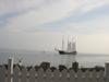 DSC07367.jpg