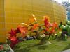 DSC07371.jpg