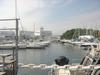 DSC07382.jpg