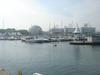 DSC07383.jpg